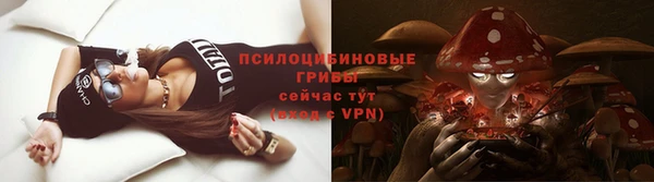 тгк Алзамай