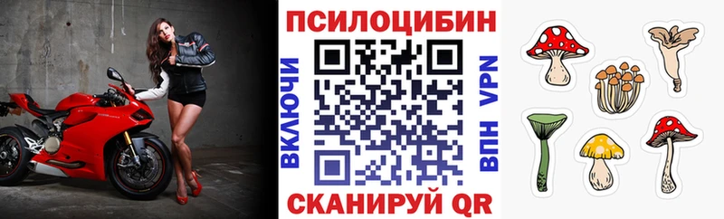 omg как зайти  купить наркотики цена  Шумиха  Галлюциногенные грибы ЛСД 